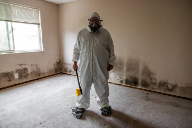 Mold Documentation for Insurance Claims in Bainbridge, PA